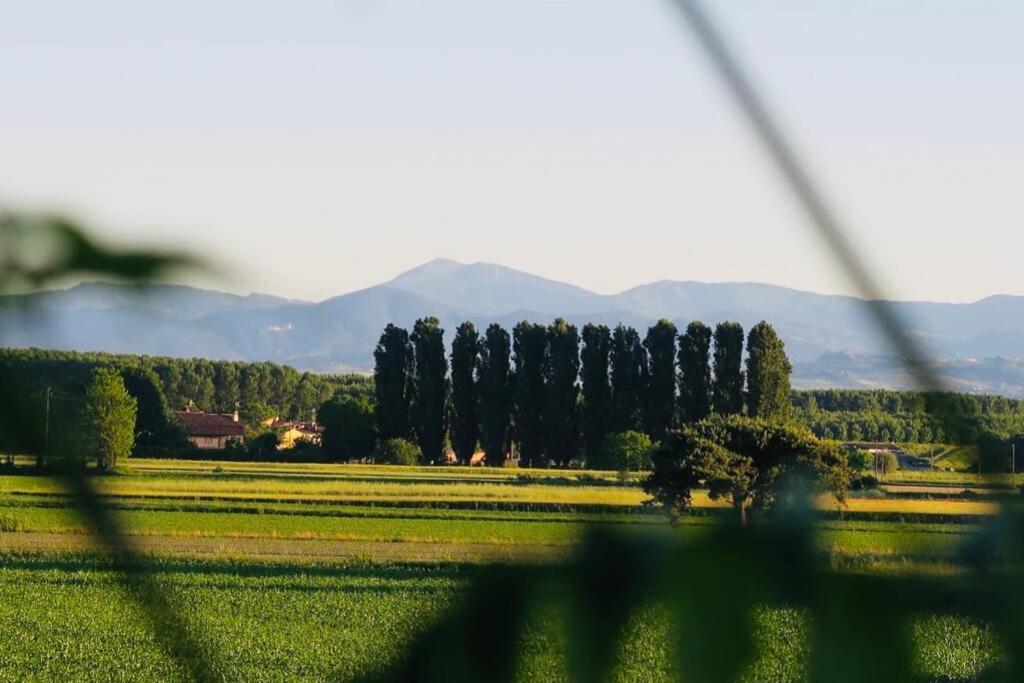 Villa La casa nei campi Badia Pavese Esterno foto