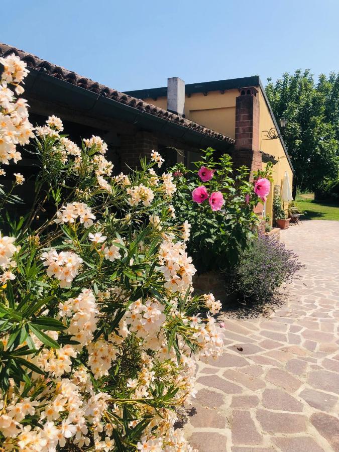 Villa La casa nei campi Badia Pavese Esterno foto